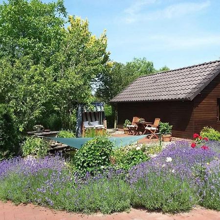 Ferienwohnung Hahn, 95129 Rhauderfehn Exteriör bild