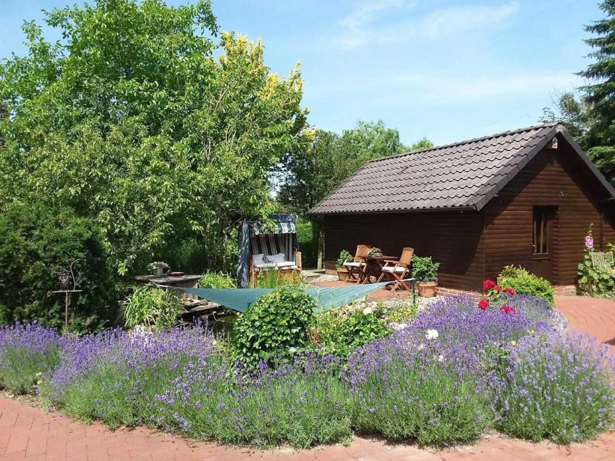 Ferienwohnung Hahn, 95129 Rhauderfehn Exteriör bild